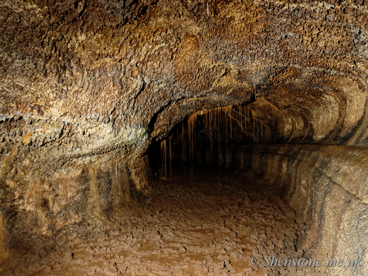 Cueva del Viento Breveritas Entrance, Tenerife, canary Islands